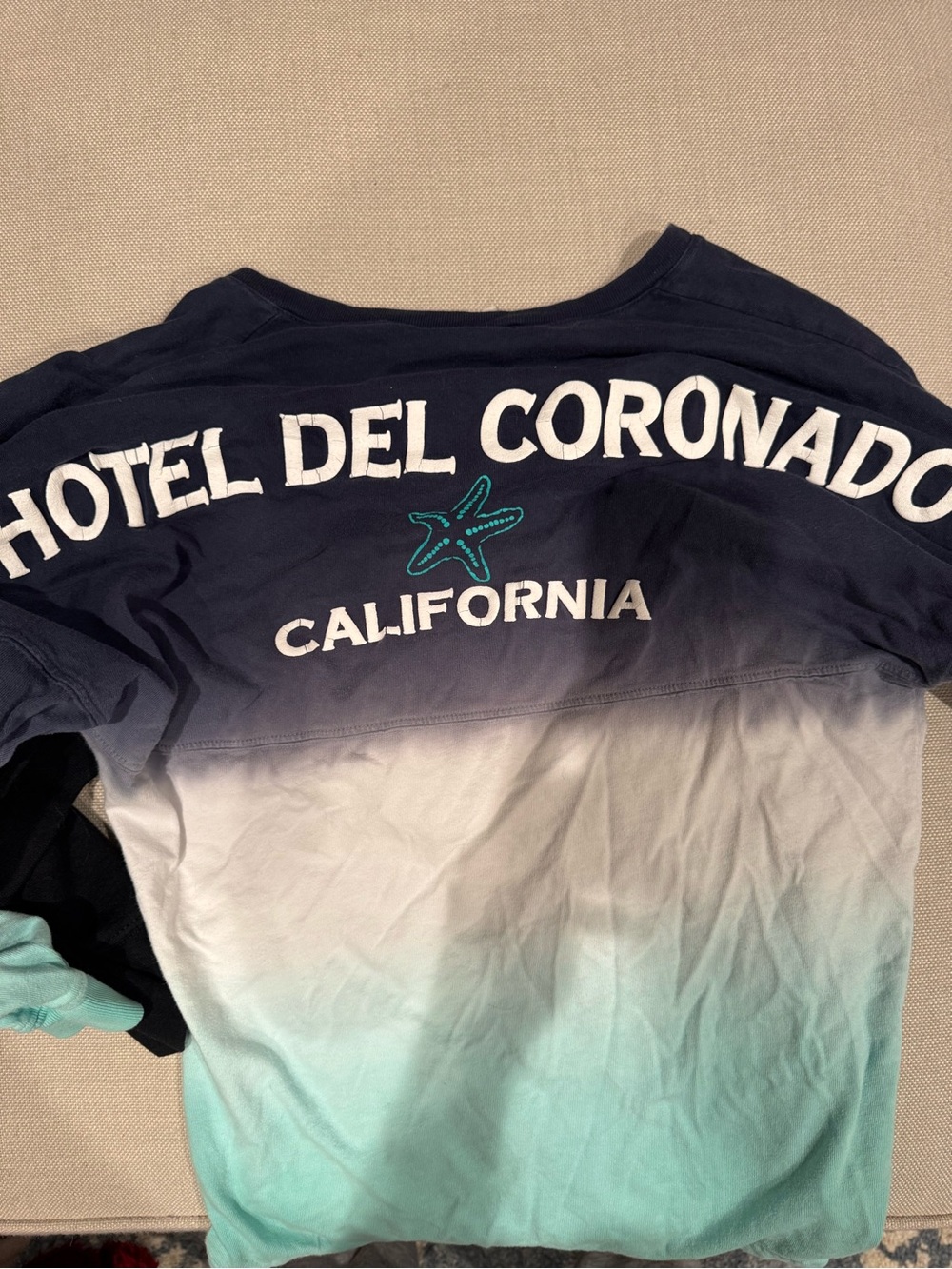 Hotel Del Coronado California Ombre Tee - Navy and Aqua